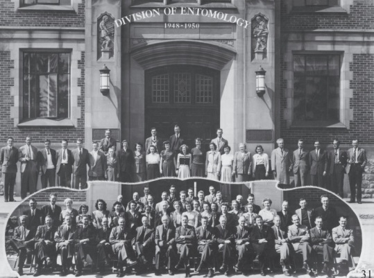 The Division of Entomology, Ottawa, 1948-1950