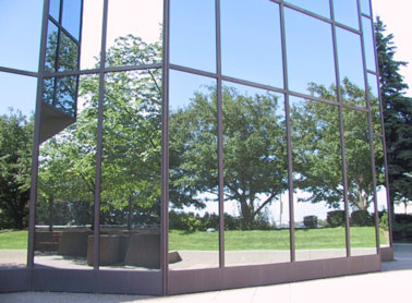Bird-building collisions can occur due to reflective glass panels. Photo: FLAP