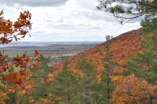 A view from the Precambrian Canadian Shield on the Eardley Escarpment in Gatineau Park, looking east over the Paleozoic sedimentary rocks and farmland of the Ottawa River valley. Photo by Ken Buchan.